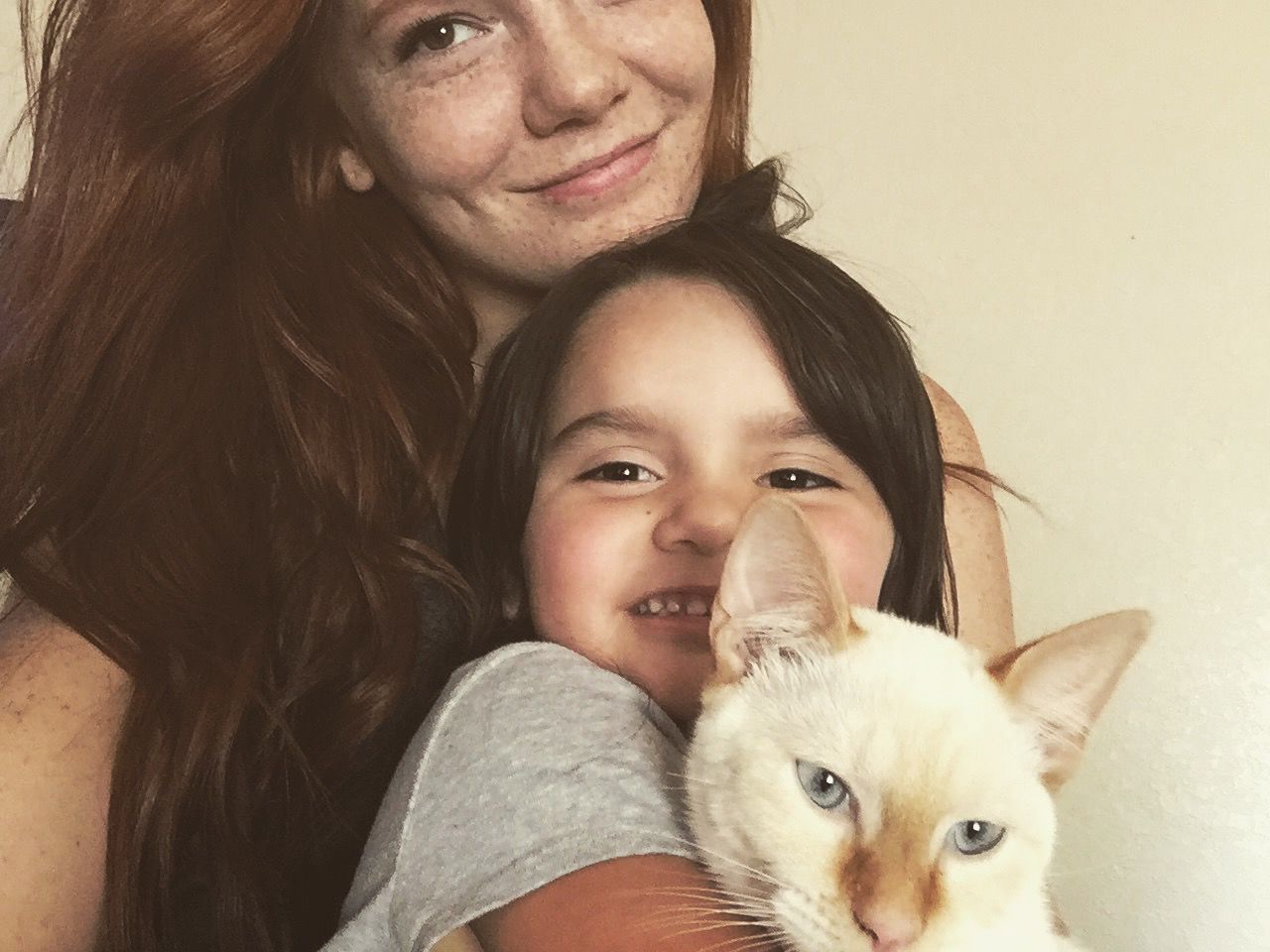 Cat selfies: 3 amigos!